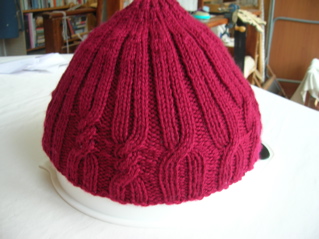Pattern: Binary Cable Hat. Yarn: Bendigo Luxury 10ply